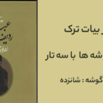 بیات ترک با سه تار