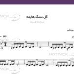 نت سنتور گل سنگم