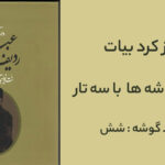 کرد بیات با سه تار