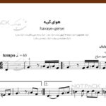 نت سنتور هوای گریه همایون شجریان