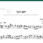 نت سنتور موی سپید گلپا