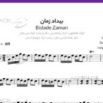 نت سنتور بیداد زمان از مرضیه