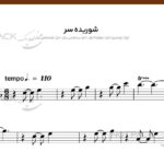 نت سنتور شوریده سر از هایده