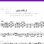 نت سنتور از نگاه یاران
