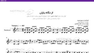 نت سنتور از نگاه یاران