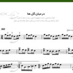 نت سنتور از میان گلها