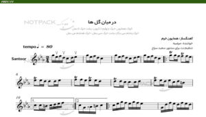 نت سنتور از میان گلها