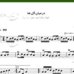 نت سه تار از میان گلها