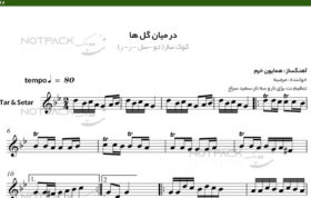 نت سه تار از میان گلها