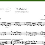 نت ویولن از میان گلها