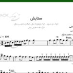 نت سنتور ستایش از مرتضی پاشایی