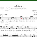 نت سه تار پوست شیر از ابی