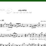 نت سه تار شاخه نبات از مهستی