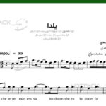 نت یلدا برای سنتور از محمد معتمدی(تو چله ی من امسال)