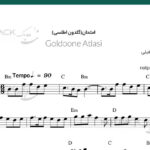 نت کیبورد گلدون اطلسی-امتحان