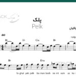 نت پلک برای کیبورد از ابی