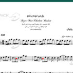 نت سنتور بزار من خودم باشم مهستی