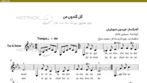 نت سه تار گل گلدون من