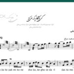 نت سنتور کی اشکاتو پاک میکنه