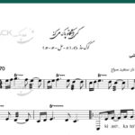 نت کی اشکاتو پاک میکنه برای تار