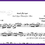 نت فلوت صید جگر خسته از چاوشی