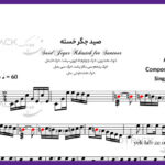 نت سنتور صید جگر خسته از چاوشی