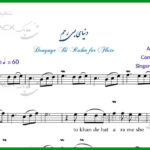 نت فلوت دنیای بی رحم از زند وکیلی