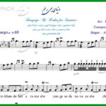 نت سنتور دنیای بی رحم از زند وکیلی