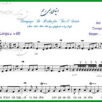 نت سه تار دنیای بی رحم از زند وکیلی