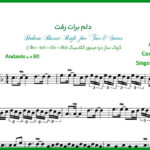 نت سه تار یه گل دادی بهم دلم برات رفت
