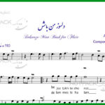 نت فلوت دلسوز من باش از معین