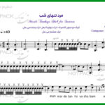 نت سنتور مرد تنهای شب از حبیب