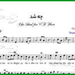 نت فلوت چه شد از محسن چاوشی