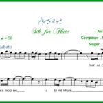 نت فلوت سیب از سیمین غانم