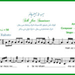 نت سنتور سیب از سیمین غانم