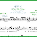 نت سه تار سیب از سیمین غانم