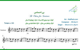 نت سنتور بی احساس از شادمهر عقیلی