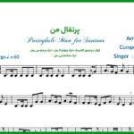 نت سنتور پرتقال من مرجان فرساد