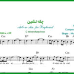 نت کیبورد چله نشین محمد معتمدی