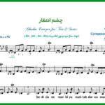 نت چشم انتظار برای تار هایده