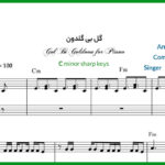 نت پیانو گل بی گلدون از مهرداد جم