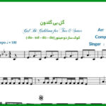 نت سه تار گل بی گلدون از مهرداد جم