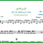 نت ویولن گل بی گلدون از مهرداد جم