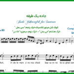 نت سنتور جاده یک طرفه از مرتضی پاشایی