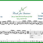 نت سنتور کاش رضا بهرام