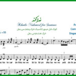 نت سنتور خدا نکند حمید هیراد با فیلم آموزشی