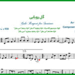 نت سنتور گل رویایی از امید