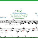 نت سنتور دل دیوانه از ویگن