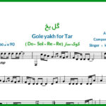 نت تار گل یخ کوروش یغمایی