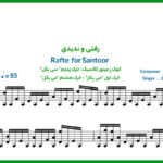 نت سنتور رفتی و ندیدی از الهه